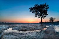 Chaleur dans le froid