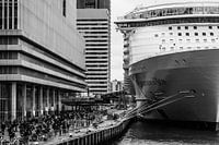 Harmony of the Seas | Rotterdam | 2016