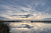 Nieuwe Driemanspolder