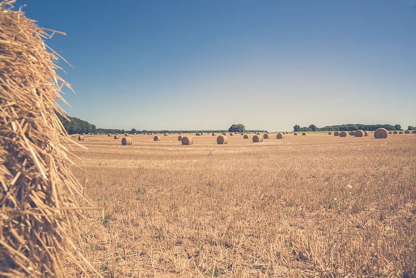 Balles de paille dans un champ français ensoleillé par Fotografiecor .nl