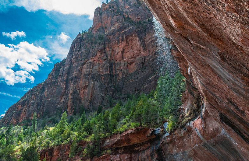 Hinter einem Wasserfall in Zion National Park, Utah von Rietje Bulthuis