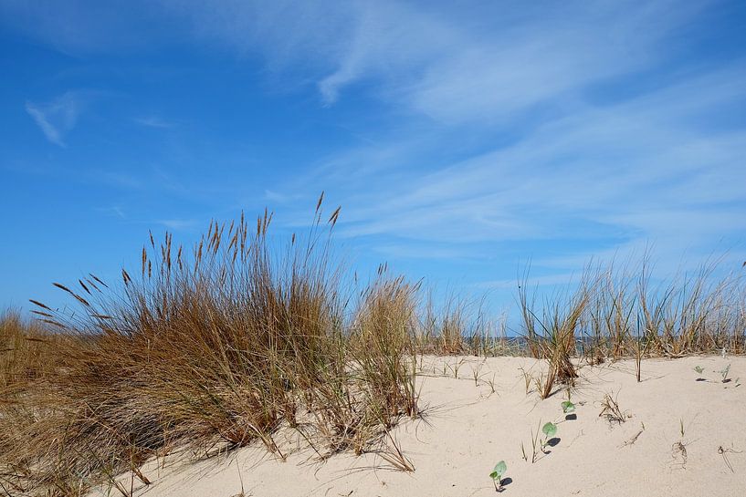 Les dunes d'Usedom par Ostsee Bilder