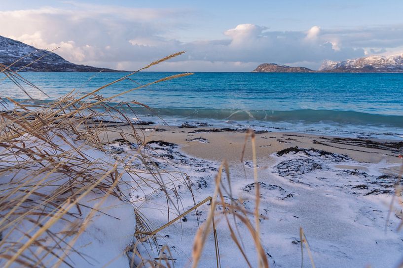 Ein schöner verschneiter Strand in Norwegen von Kimberly Lans
