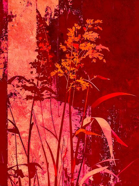 Illustration botanique moderne - Graminées -7 par Studio Pieternel