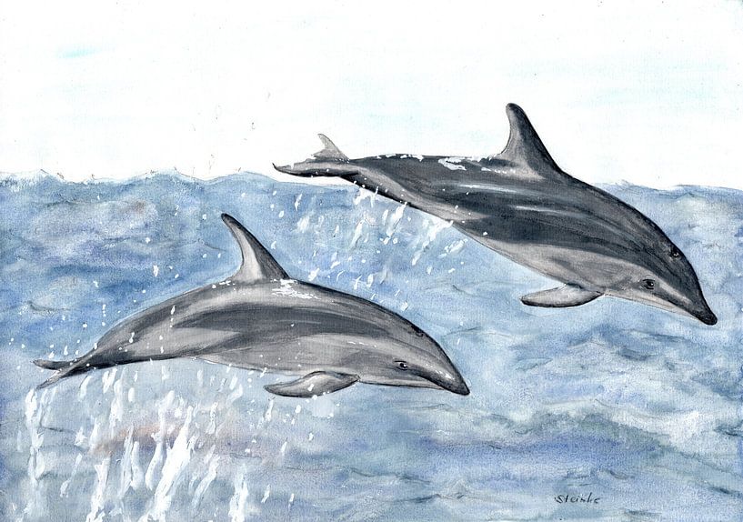 Dolphins by Sandra Steinke