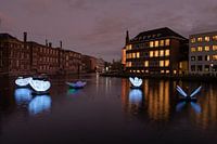 Schmetterlingseffekt, Amsterdamer Lichtfest