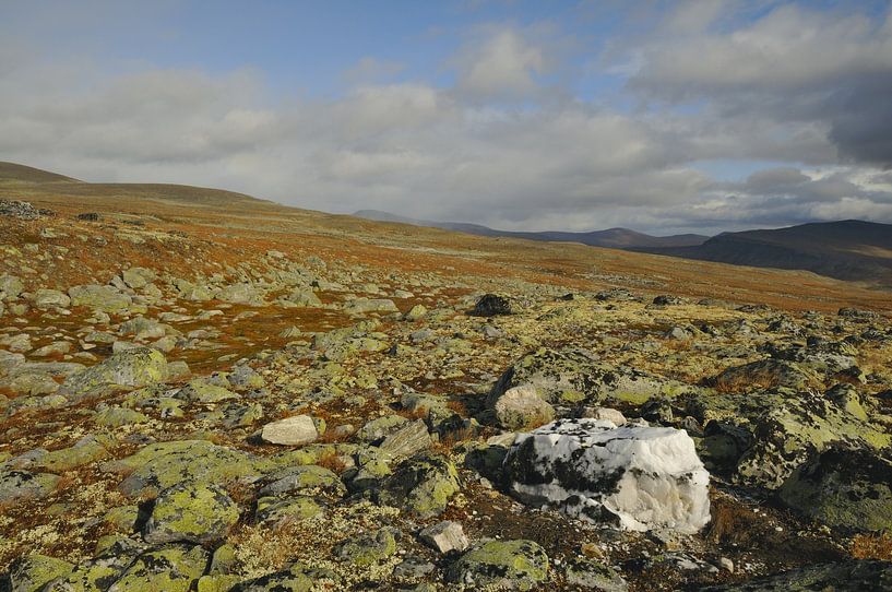 Parc national de Dovre par Karin Jähne