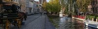 Bruges, panorama en calèche