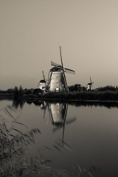 Kinderdijk in zwartwit by Petra Brouwer