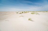 Erleben Sie das pure Inselgefühl im Naturschutzgebiet De Hors, Texel