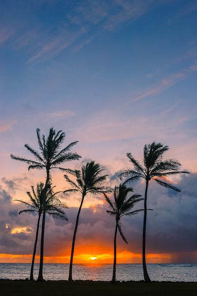 Sonnenaufgang Kapaa Beach Park, Kauai, Hawaii von Henk Meijer Photography