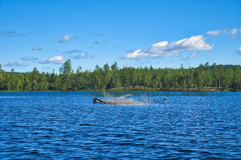 See in Schweden mit weißen Wolken, blaues Wasser und Bäumen am Ufer von Martin Köbsch
