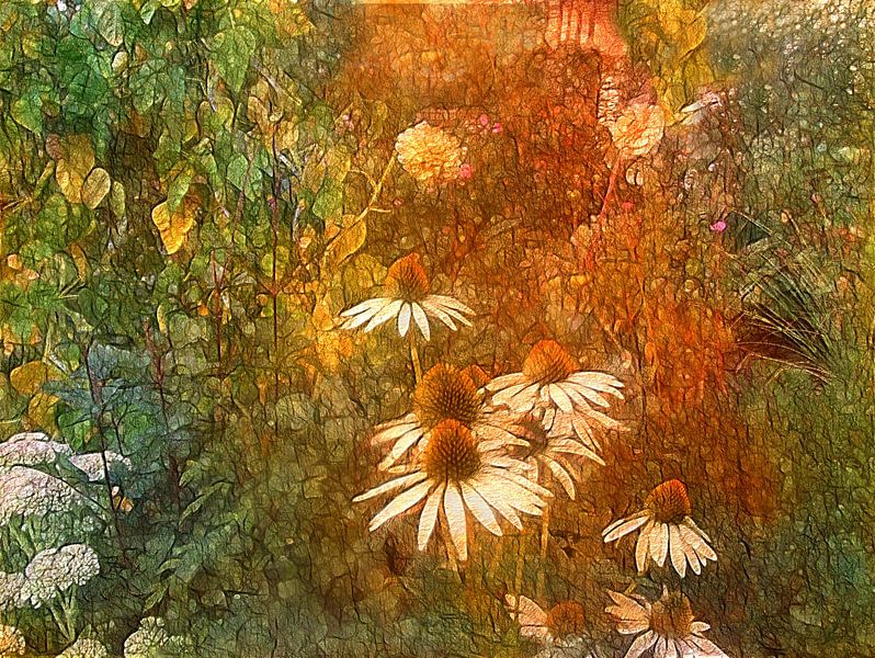 Sonnenhut in meinem Garten - in mijn tuin von Claudia Gründler