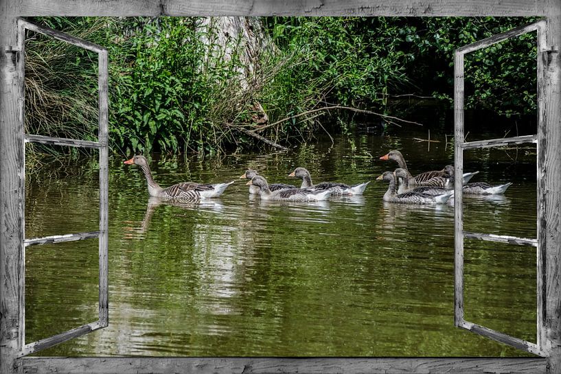 Window views -  family outing by Christine Nöhmeier
