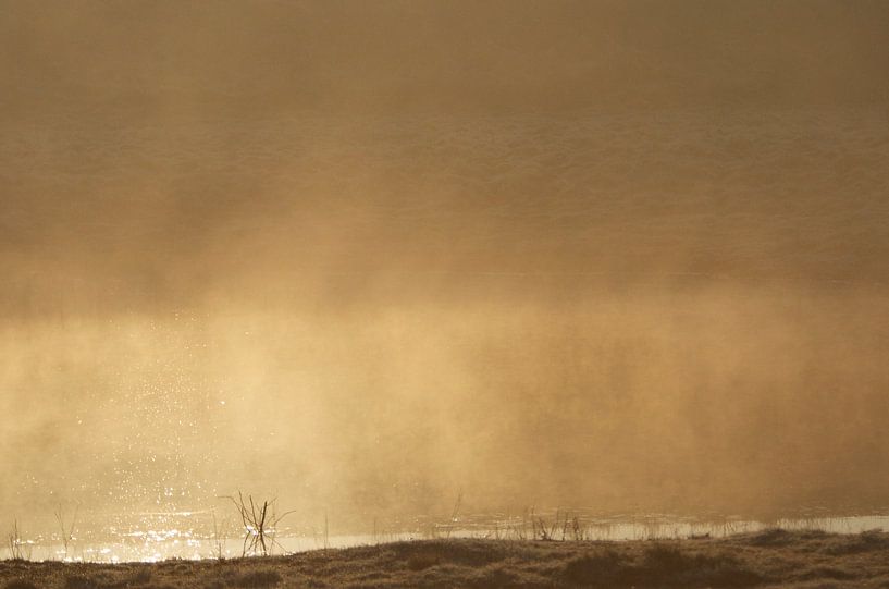 Landschaft von Elise Daanen