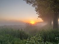 Zonsopkomst in de Schiedamse Polder