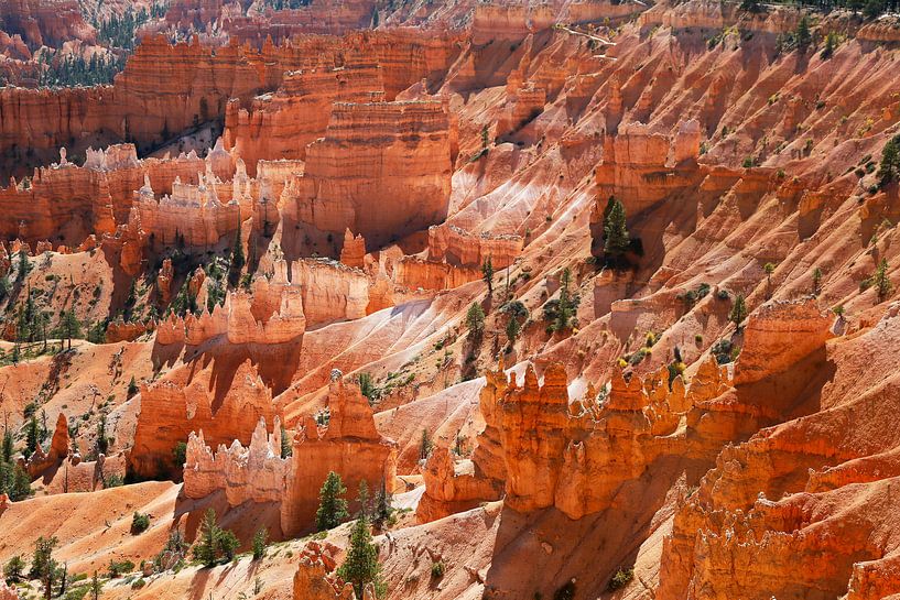 Bryce Canyon by Marit Lindberg
