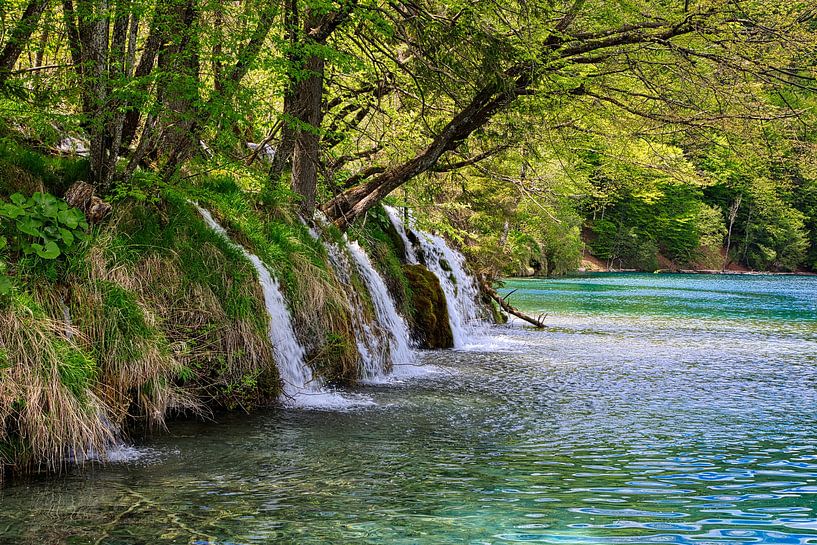 Plitvice Lakes National Park by Dieter Fischer
