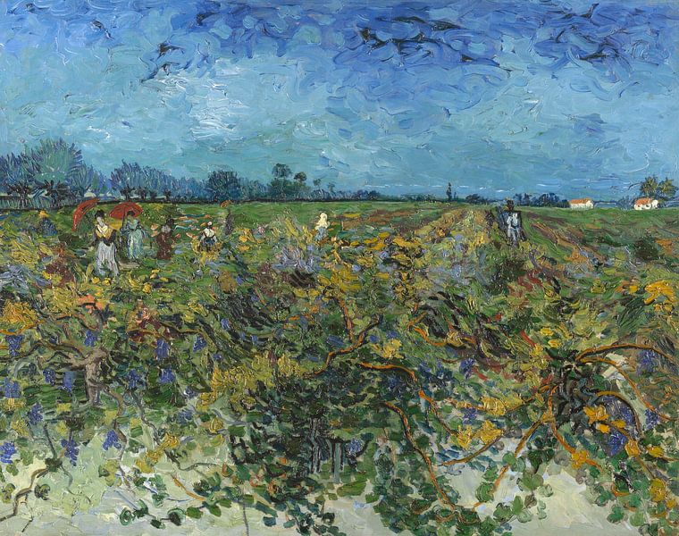 Der grüne Weinberg, Vincent van Gogh von Meisterhafte Meister