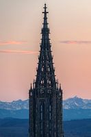Ulmer Münster und die Stadt Ulm Abends zum Sonnenuntergang mit Alpen im Hintergrund