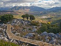 Die natürliche Schönheit Andalusiens - Pueblo Blanco
