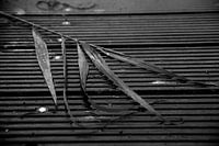 Silence after the storm