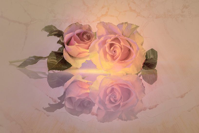 Stillleben Rosen Akt von Alie Ekkelenkamp