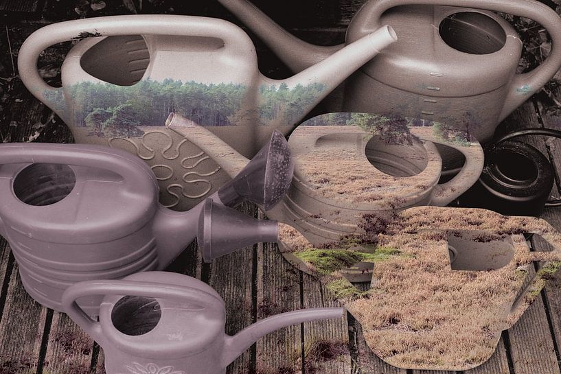 Bloom in my Mind by True Color Stories