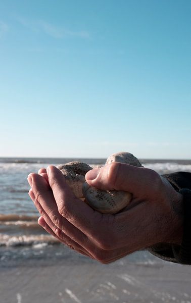 Connexion par Foto Studio Labie