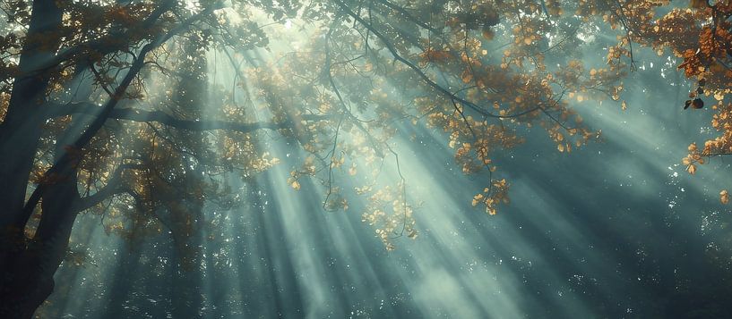 Waldlichtzauber von fernlichtsicht