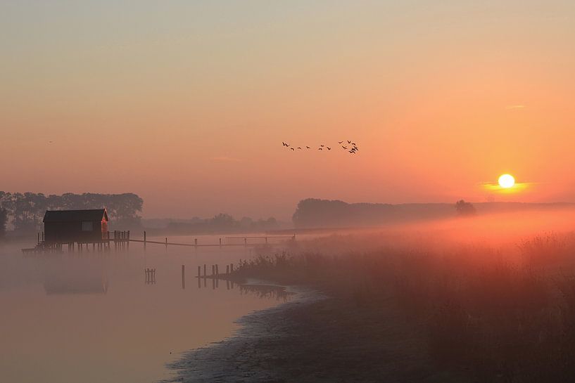 Schöne Niederlande von René Pronk