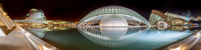 Valencia city of arts and sciences by Ko Hoogesteger