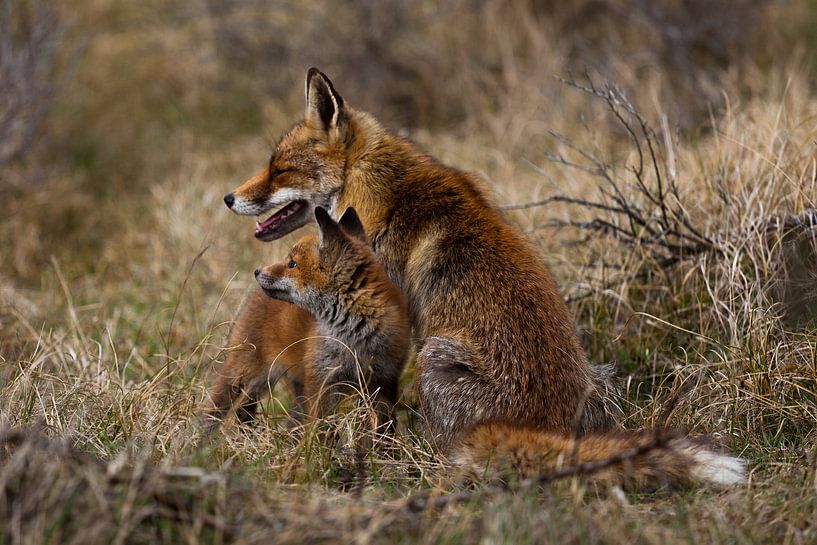 Moeder en kind par Frits Hendriks