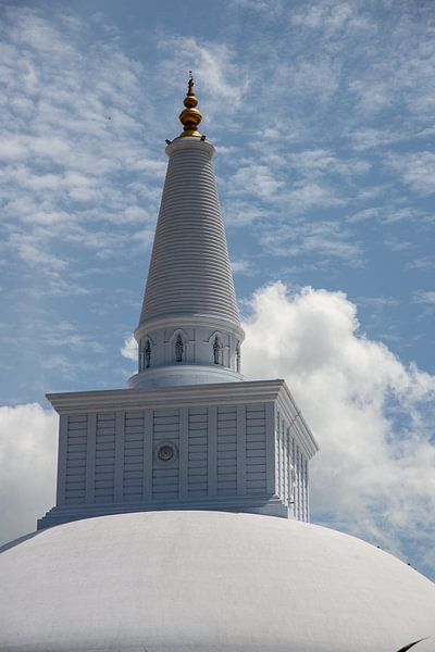 Buddhist stupa near Anuradhapura, Sri Lanka by Jan Fritz