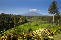 Vues du mont Agung à Bali, en Indonésie