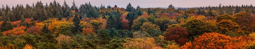 Herbstfarben Panorama von Renzo van den Akker