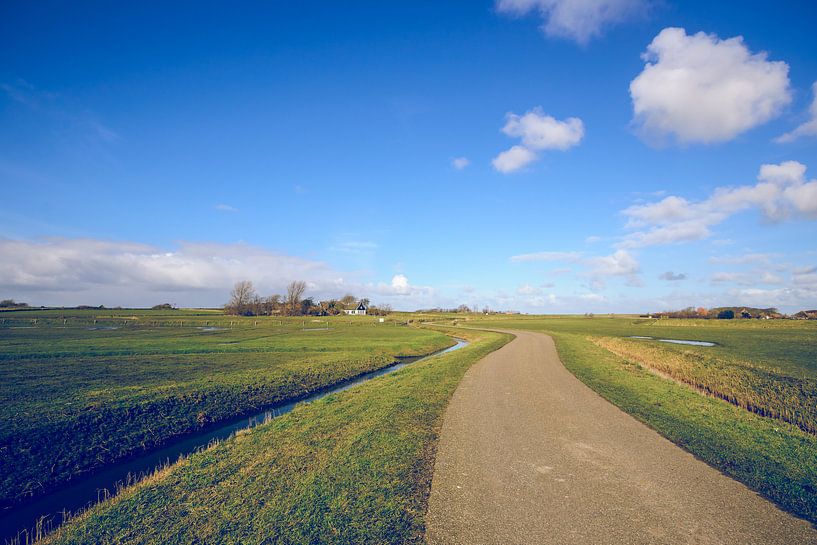 Paysage de polder néerlandais sur Texel par Fotografiecor .nl