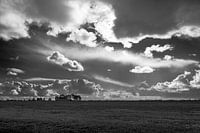 Mooie lucht boven het frieze land