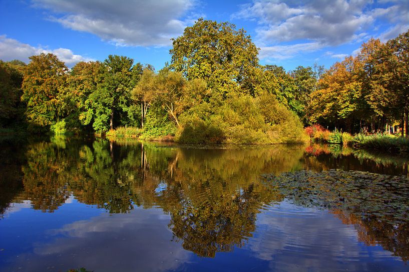 Automne 2 par Edgar Schermaul