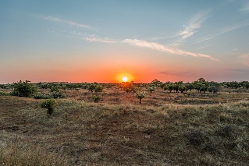 Sonnenuntergang in den Dünen der Amsterdamer Wasserversorgung (0138) von Reezyard