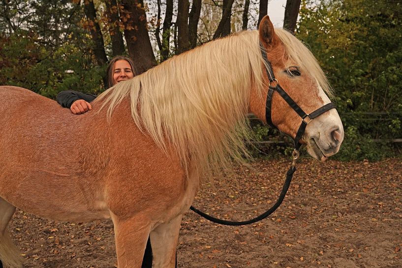 Photoshooting with light brown Haflinger with beige mane by Babetts Bildergalerie