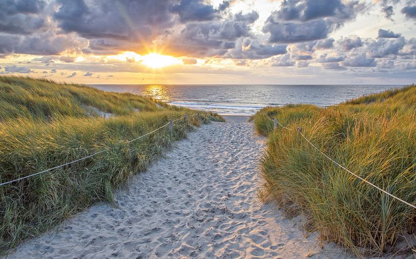 Strandaufgang Texel von Justin Sinner Photography (Fotograf auf Texel)