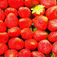 Fraises, rouges, fruits