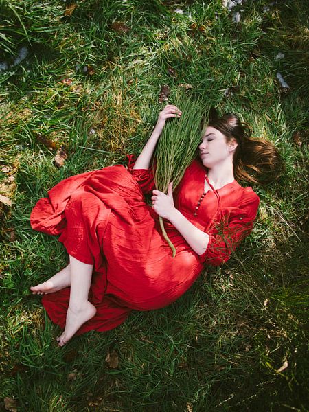 Märchen in Rot von Mirella Lukens