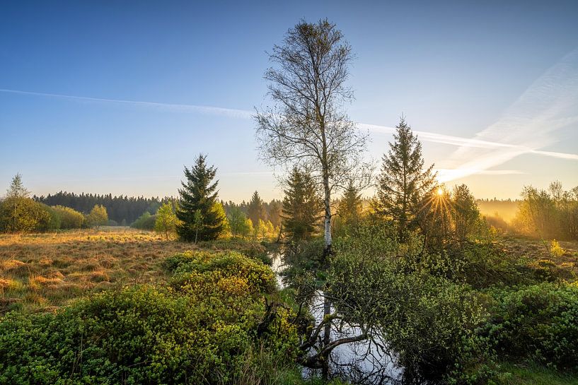 Brackvenn, High Fens, Belgium by Alexander Ludwig