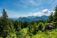 Blick auf die Tannheimer Berge