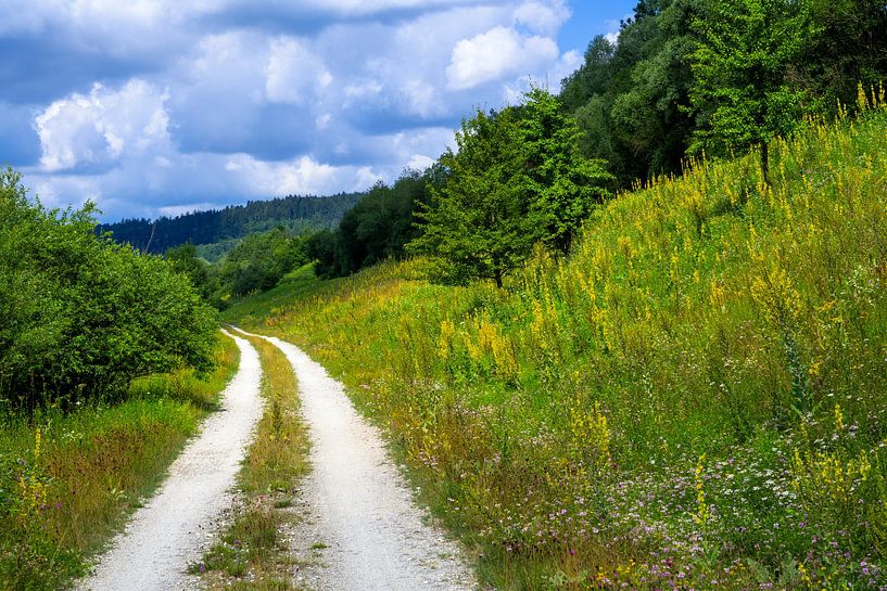 Idyllische Landschaft im Altmühltal von ManfredFotos