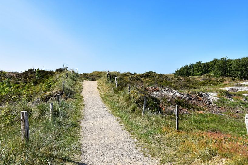 Chemin à travers les dunes de Sankt Peter Ording par David Esser