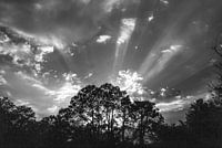 zonsondergang in Leesburg