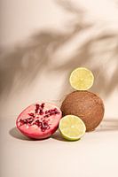 In tropischen Sphären VI